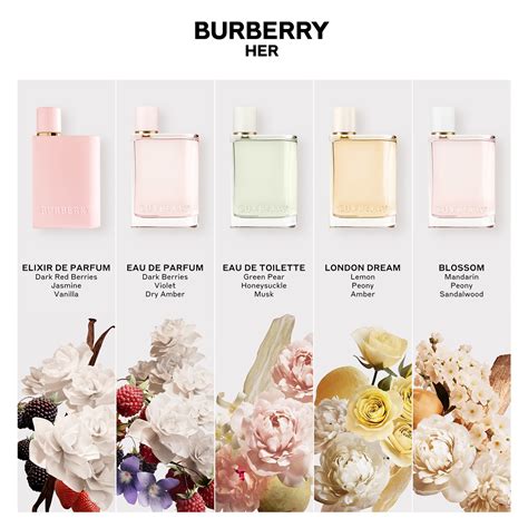 burberry scent notes|Burberry her smell like.